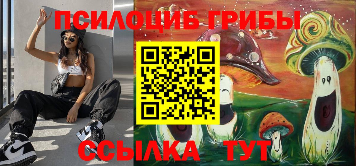 Псилоцибиновые грибы Magic Shrooms  Вход с VPN  Новочеркасск 